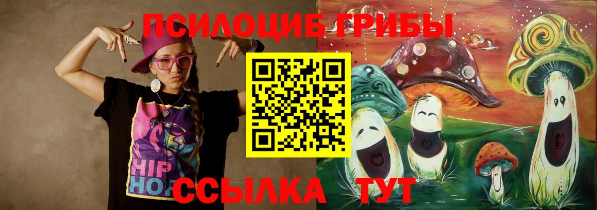 Псилоцибиновые грибы Psilocybe Симферополь