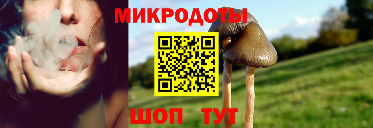 Псилоцибиновые грибы мицелий  Вход с VPN  Симферополь 